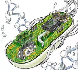 未來30年新興科技趨勢報告 生物科技領域的變革與機遇