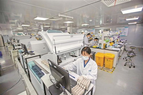 深企體外診斷產品遠銷海外 生物科技技術開發的全球化之路